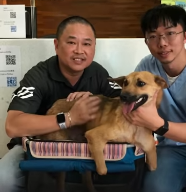 They were able to find a lovely family to adopt him