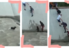 The most amazing human chain ever made to rescue a dog